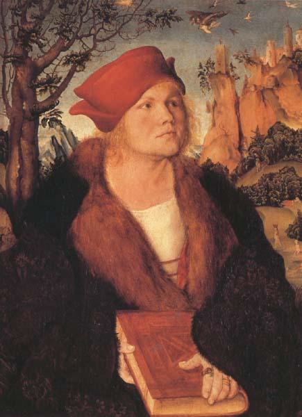 Lucas Cranach the Elder Dr.Johannes Cupinian (mk45) oil painting picture